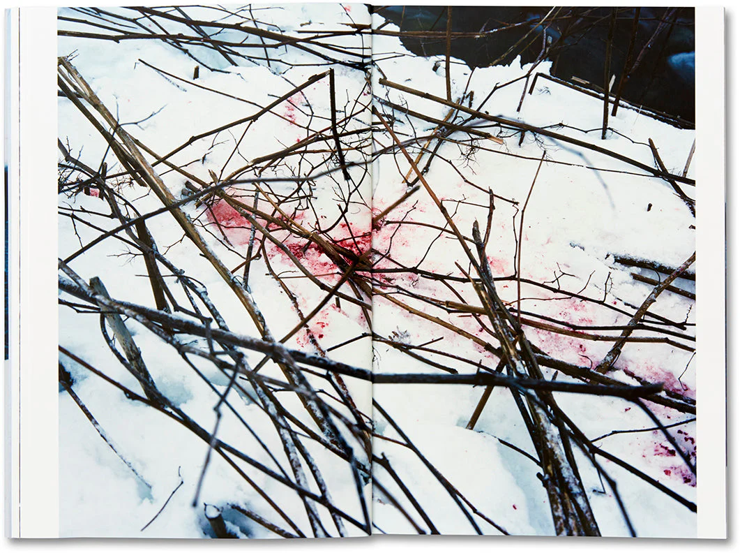 Trails - Image 16