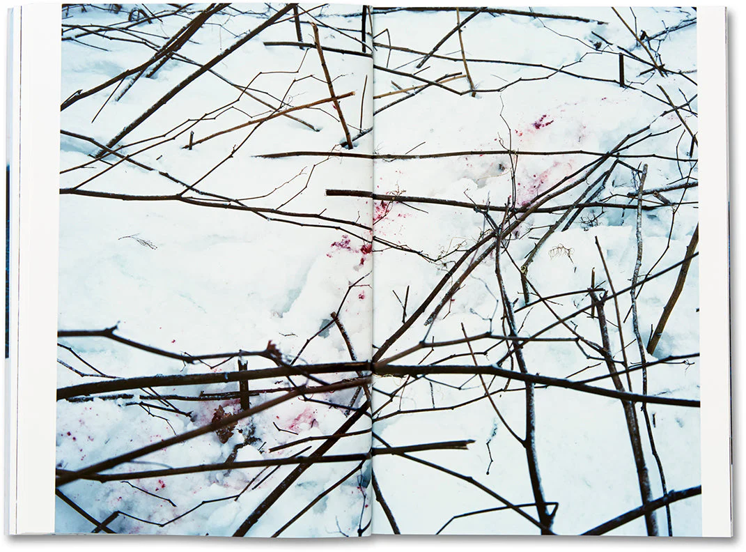 Trails - Image 17