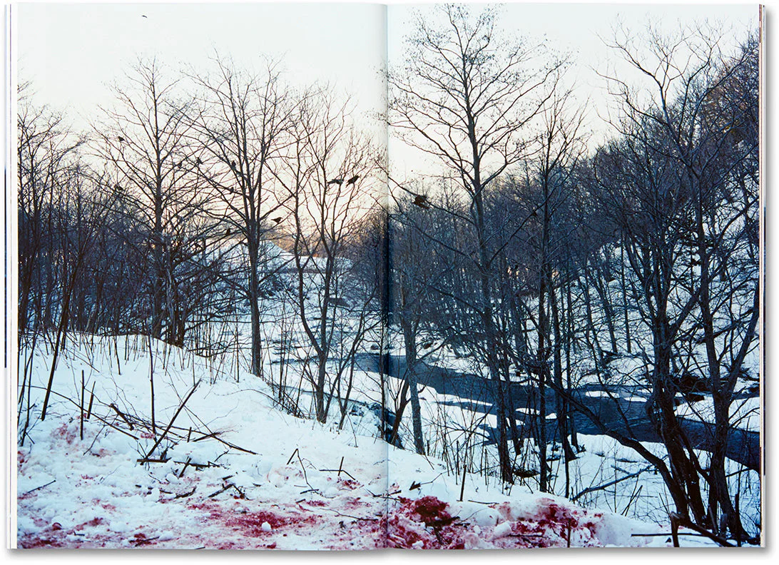 Trails - Image 19