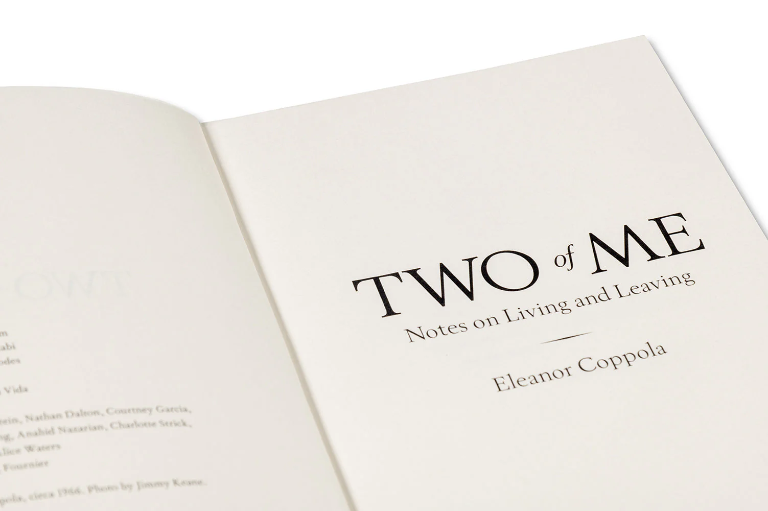 Two of Me: Notes on Living and Leaving - Image 11