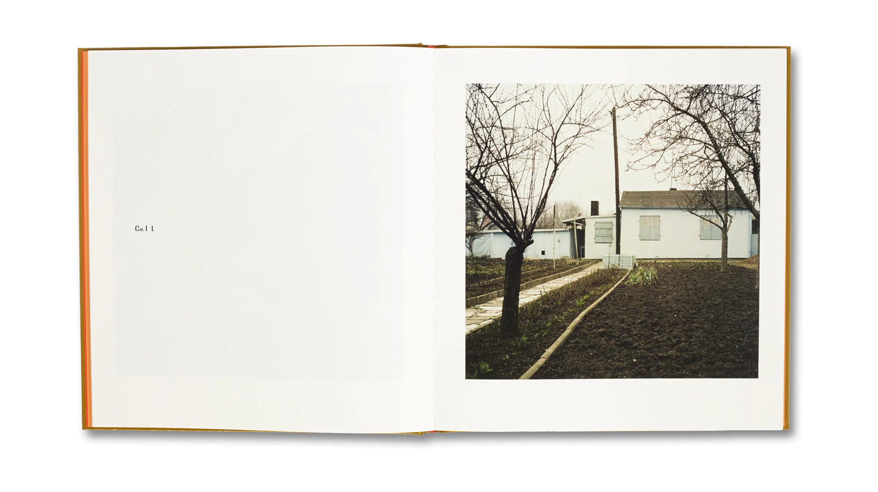 Typology 1979 - Image 5
