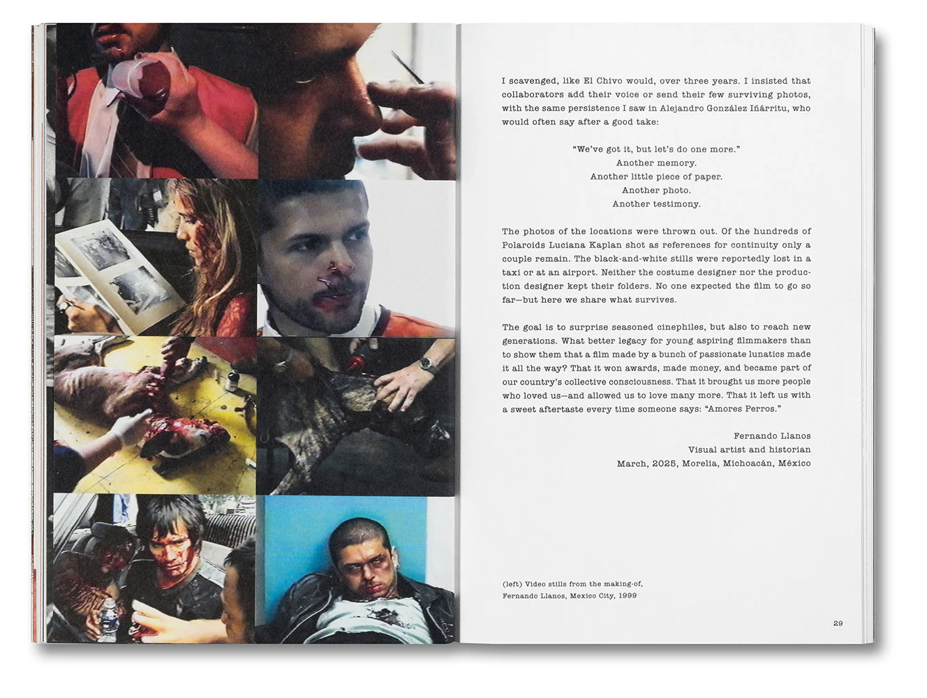 Unleashing Amores Perros - Image 10