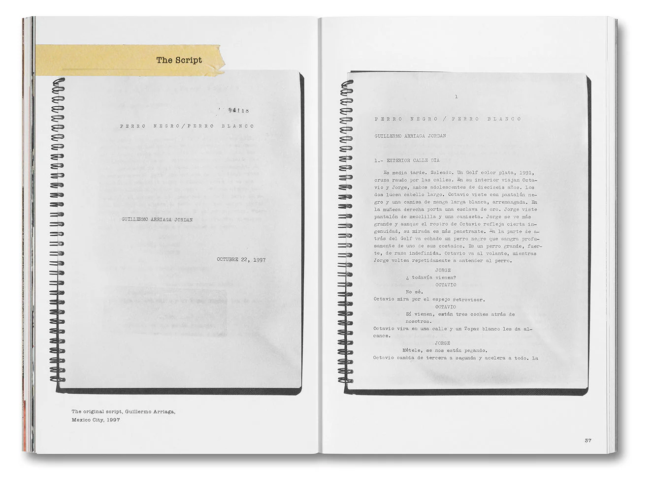 Unleashing Amores Perros - Image 11
