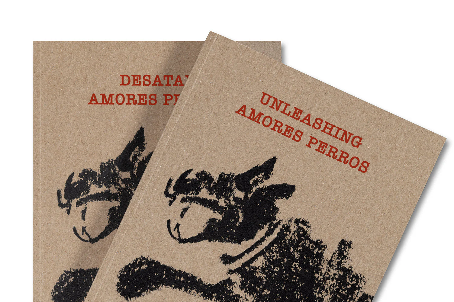 Unleashing Amores Perros - Image 30