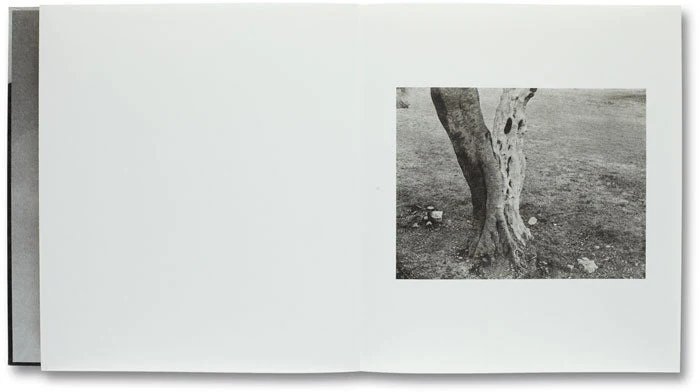 Unnamed Road - Image 23