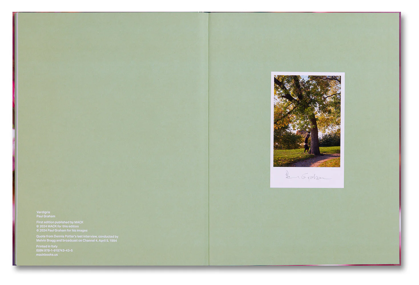 Verdigris / Ambergris - Image 35