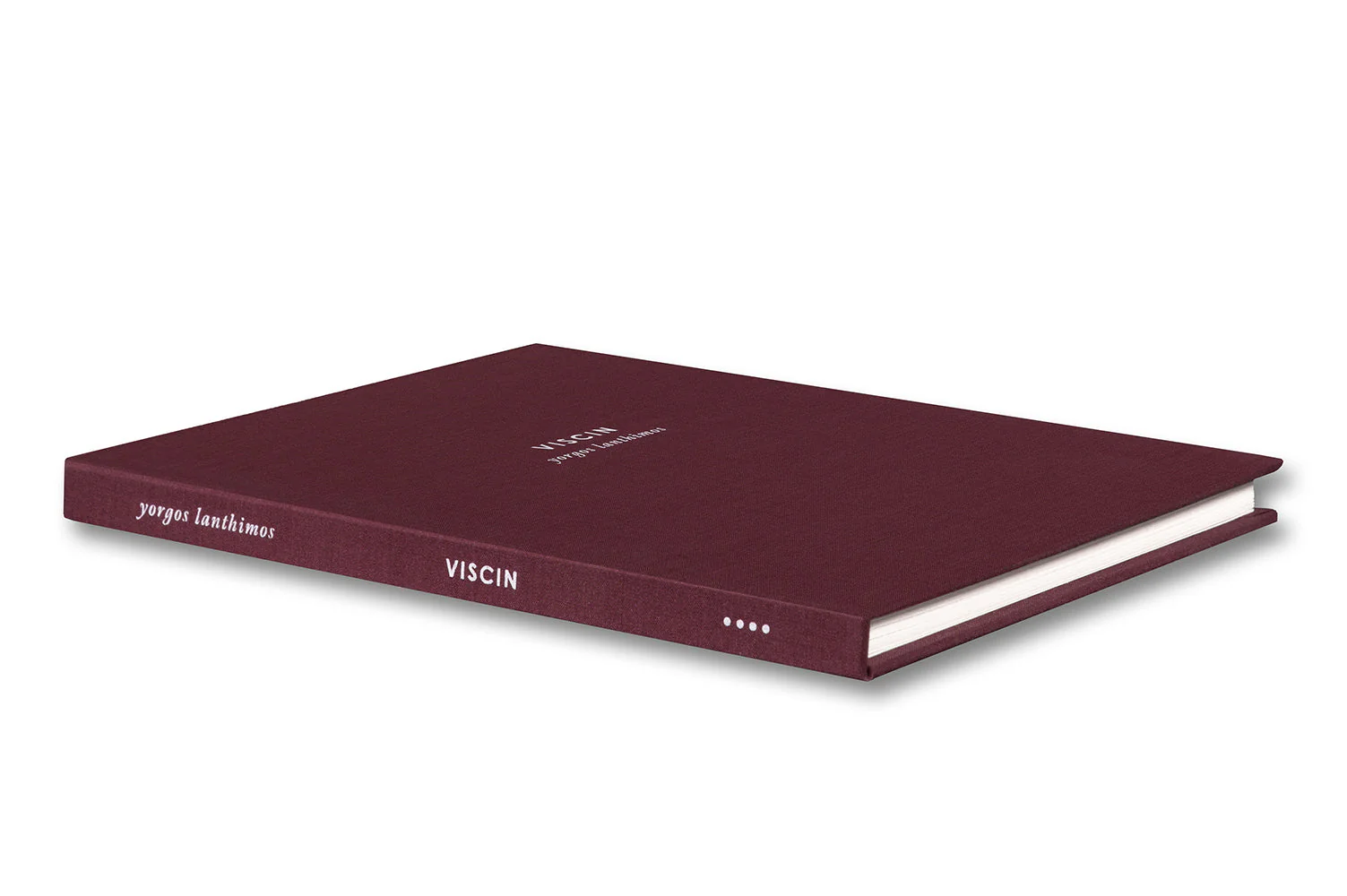 VISCIN - Image 19