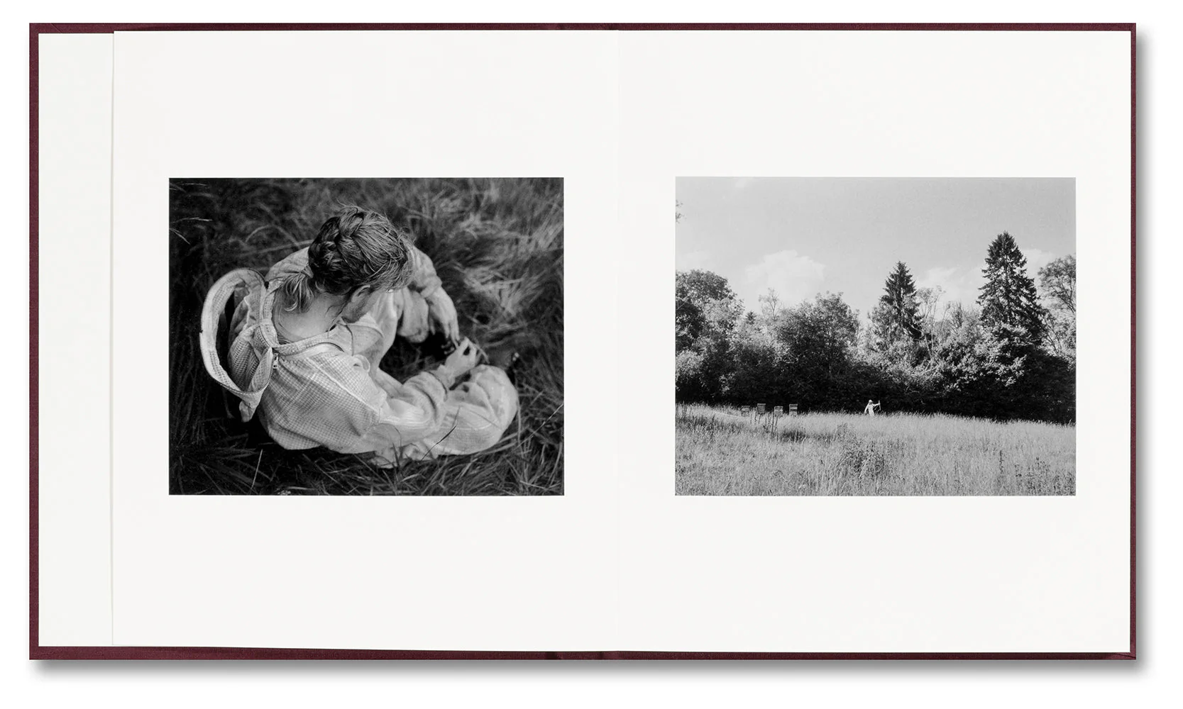 VISCIN - Image 3