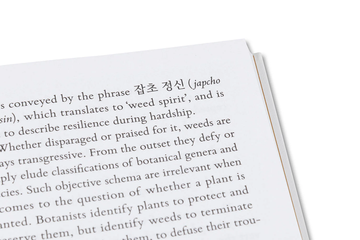 Weeds: A Germinating Theory - Image 23