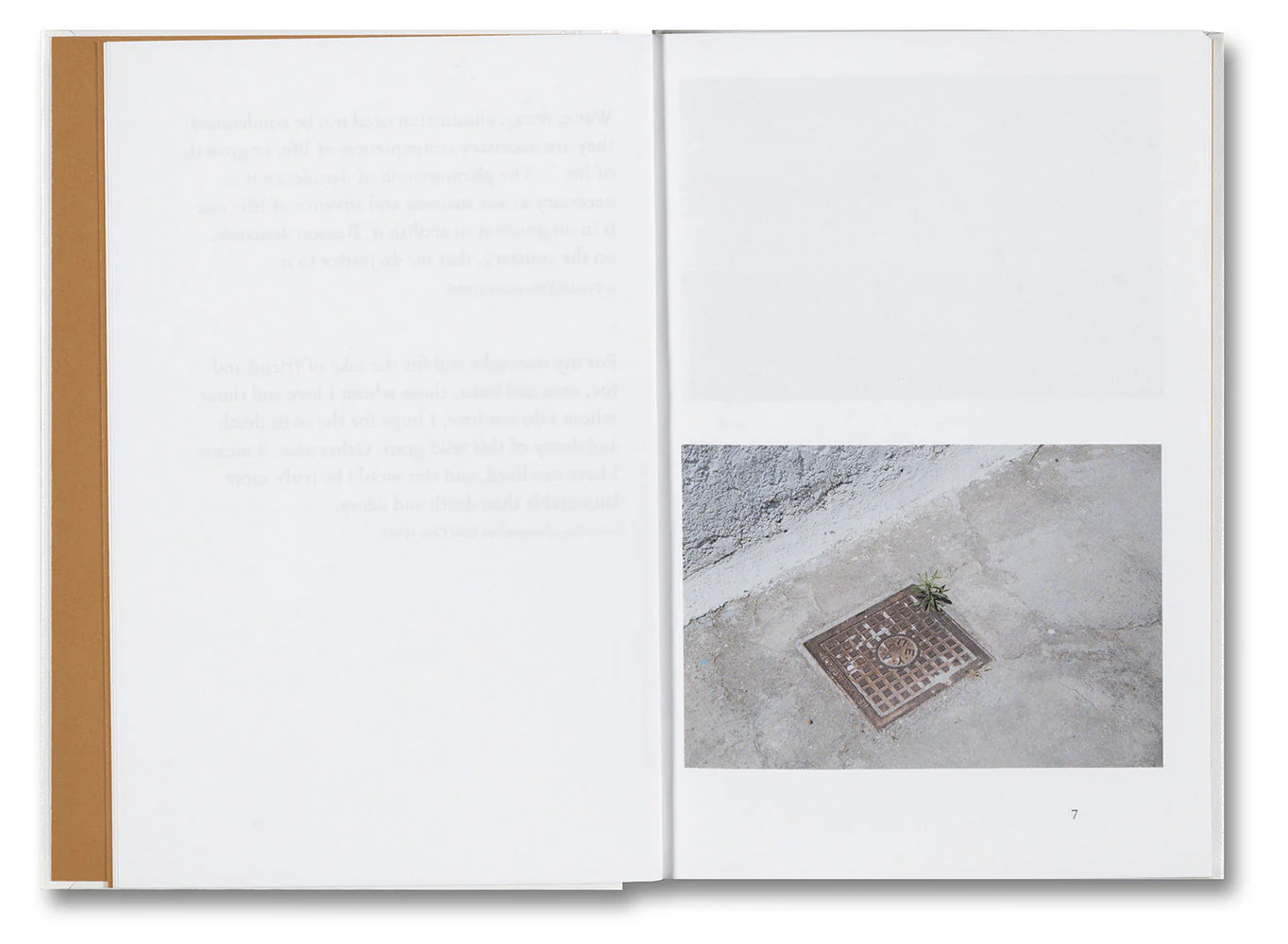 Weeds: A Germinating Theory - Image 4