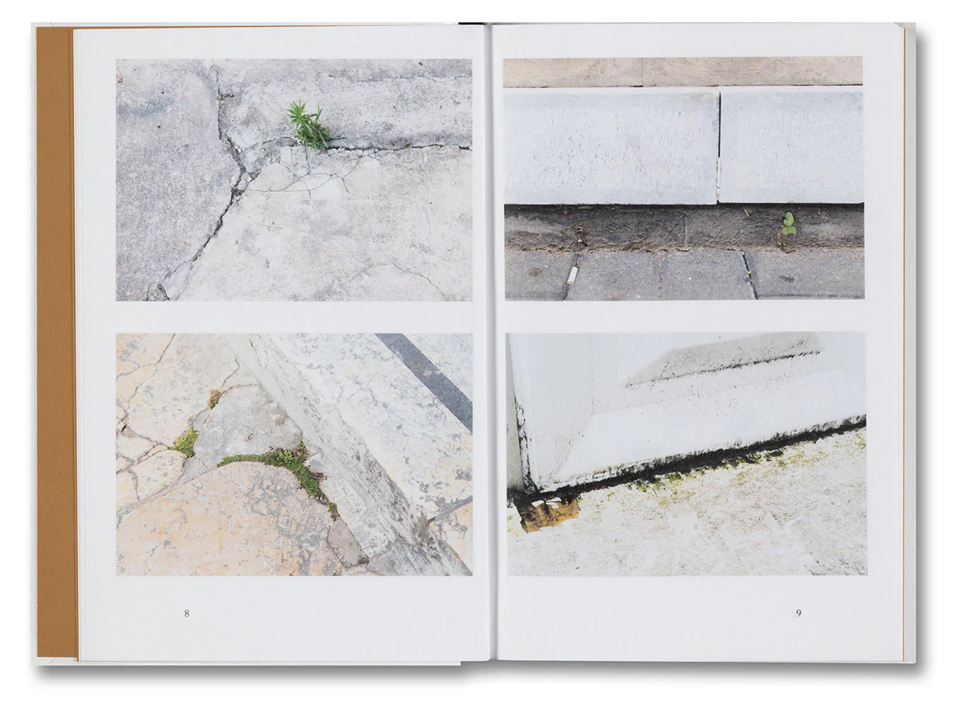 Weeds: A Germinating Theory - Image 5