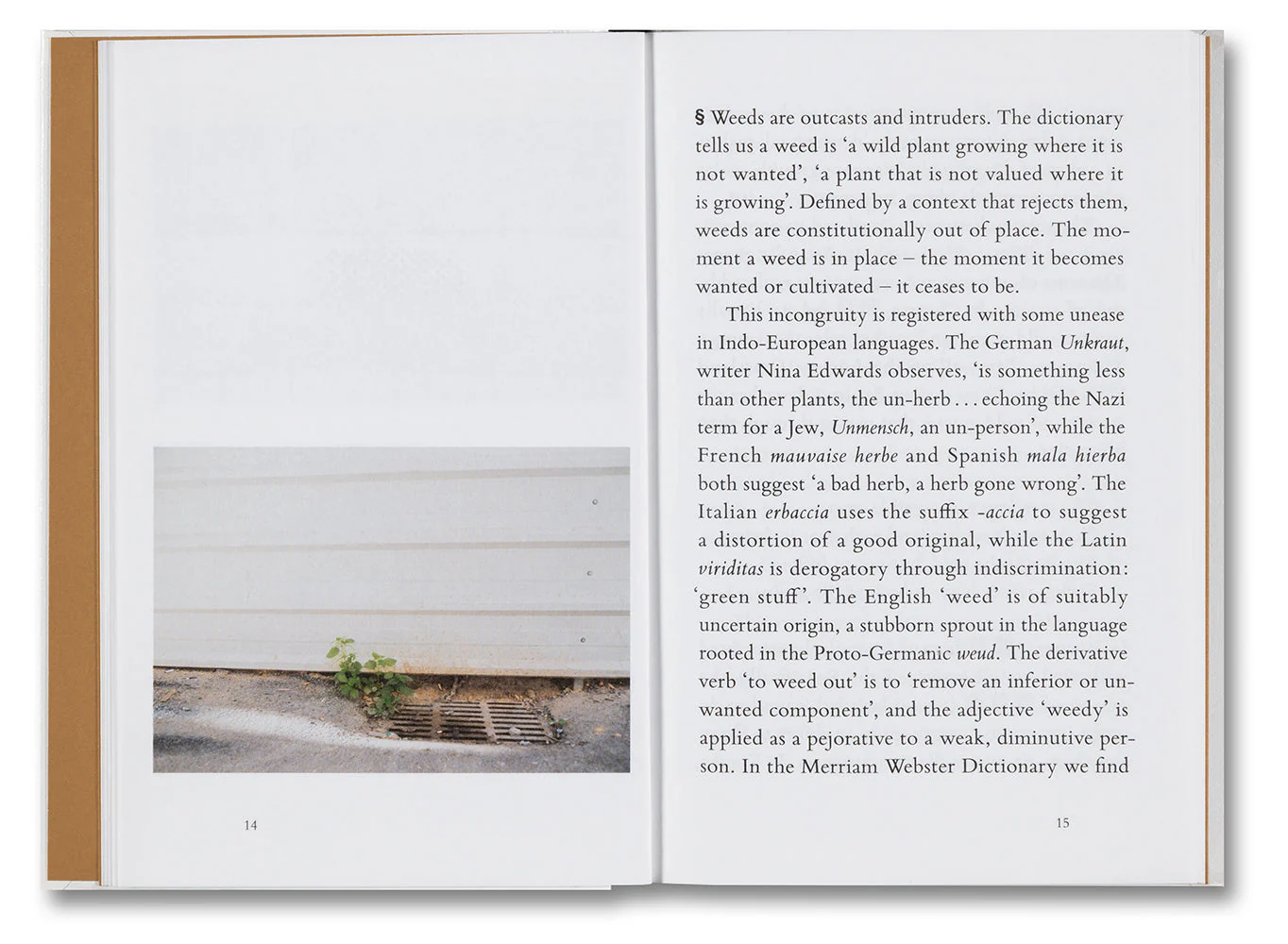 Weeds: A Germinating Theory - Image 6