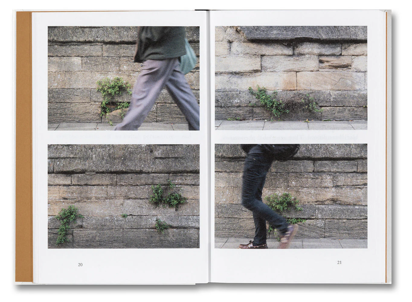 Weeds: A Germinating Theory - Image 7