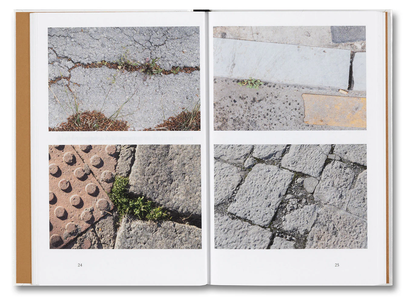 Weeds: A Germinating Theory - Image 8