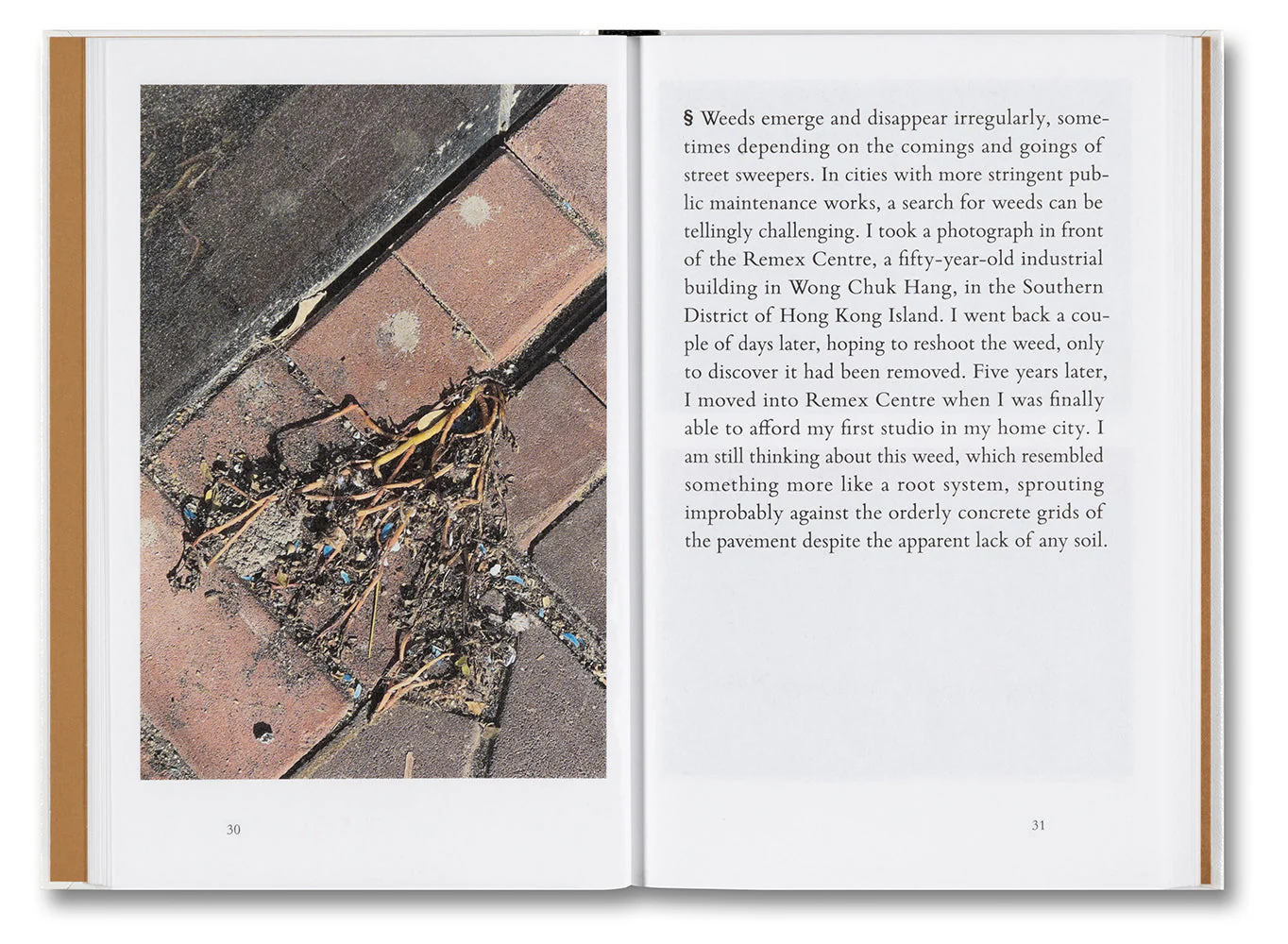 Weeds: A Germinating Theory - Image 9