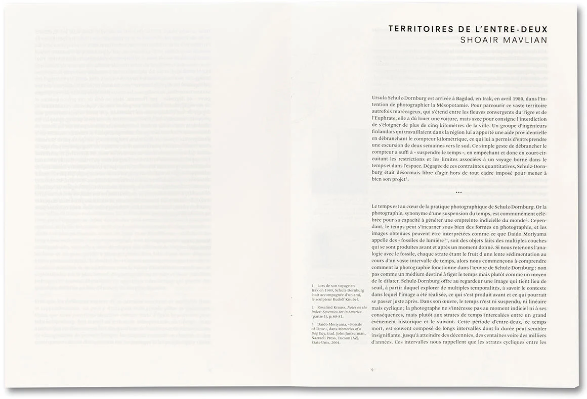 Zone Grise - Image 6