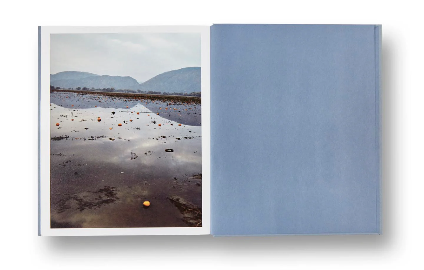 ZZYZX (First edition, signed) - Image 18