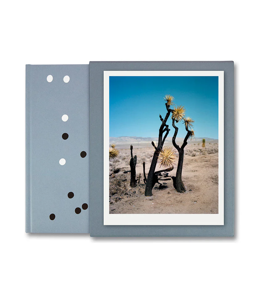 ZZYZX Special Edition - Image 2